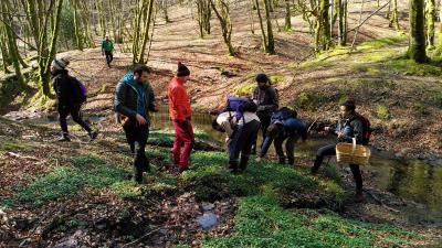 Mushroom foraging in the Ultzama Valley: 